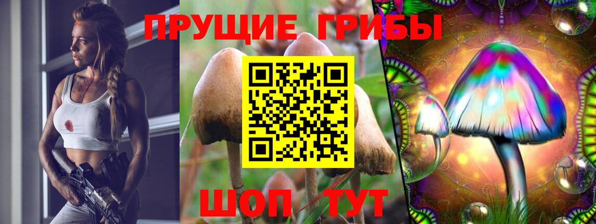 Псилоцибиновые грибы Magic Shrooms  Вход с VPN  наркота  Галлюциногенные грибы Cubensis  Нефтекумск 