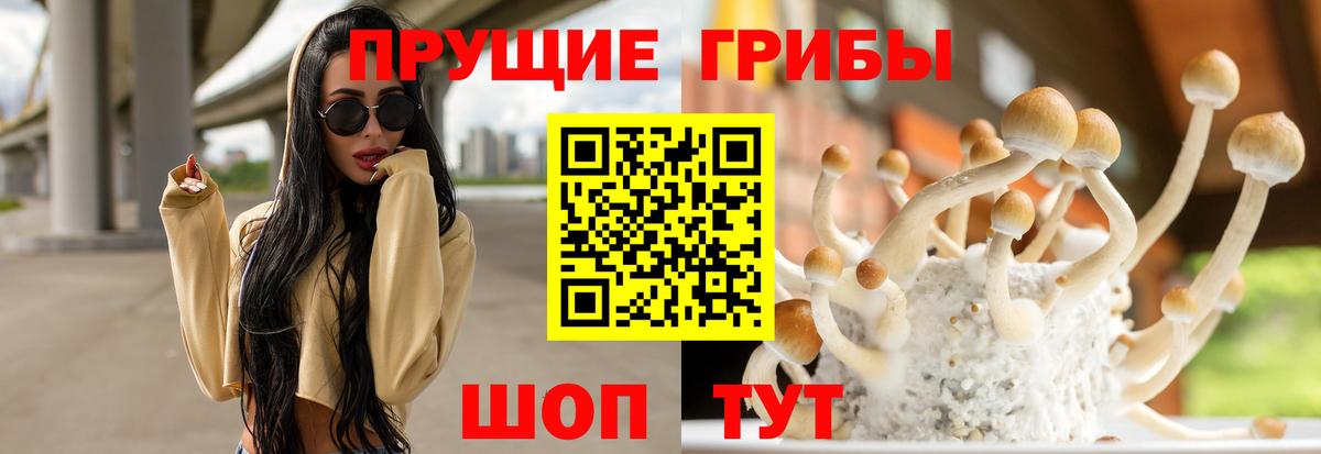 Галлюциногенные грибы Psilocybe Нефтекумск