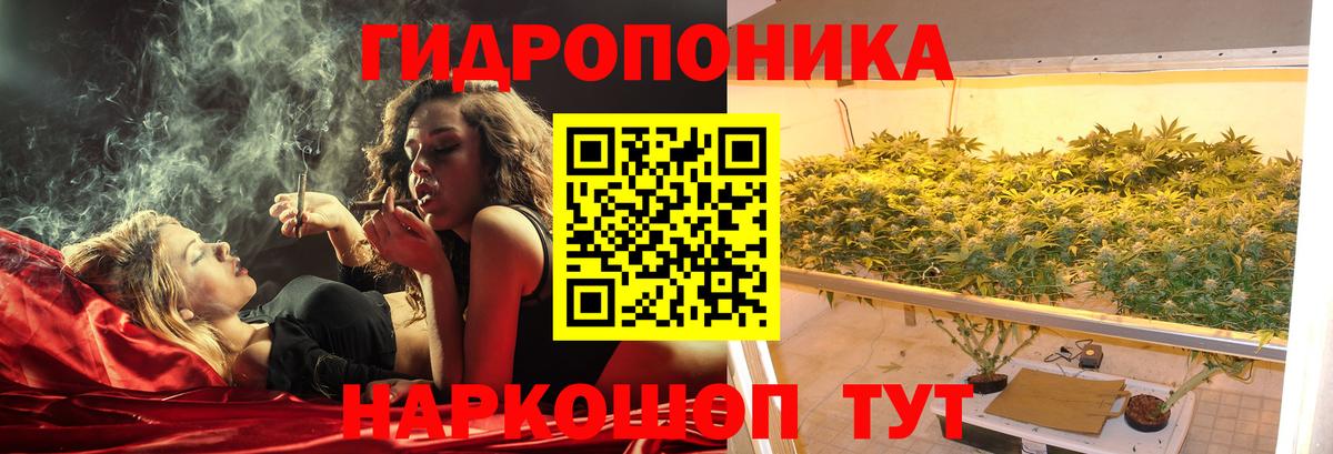 МАРИХУАНА LSD WEED  Вход с VPN  Каннабис White Widow  Бошки Шишки семена  Нефтекумск 